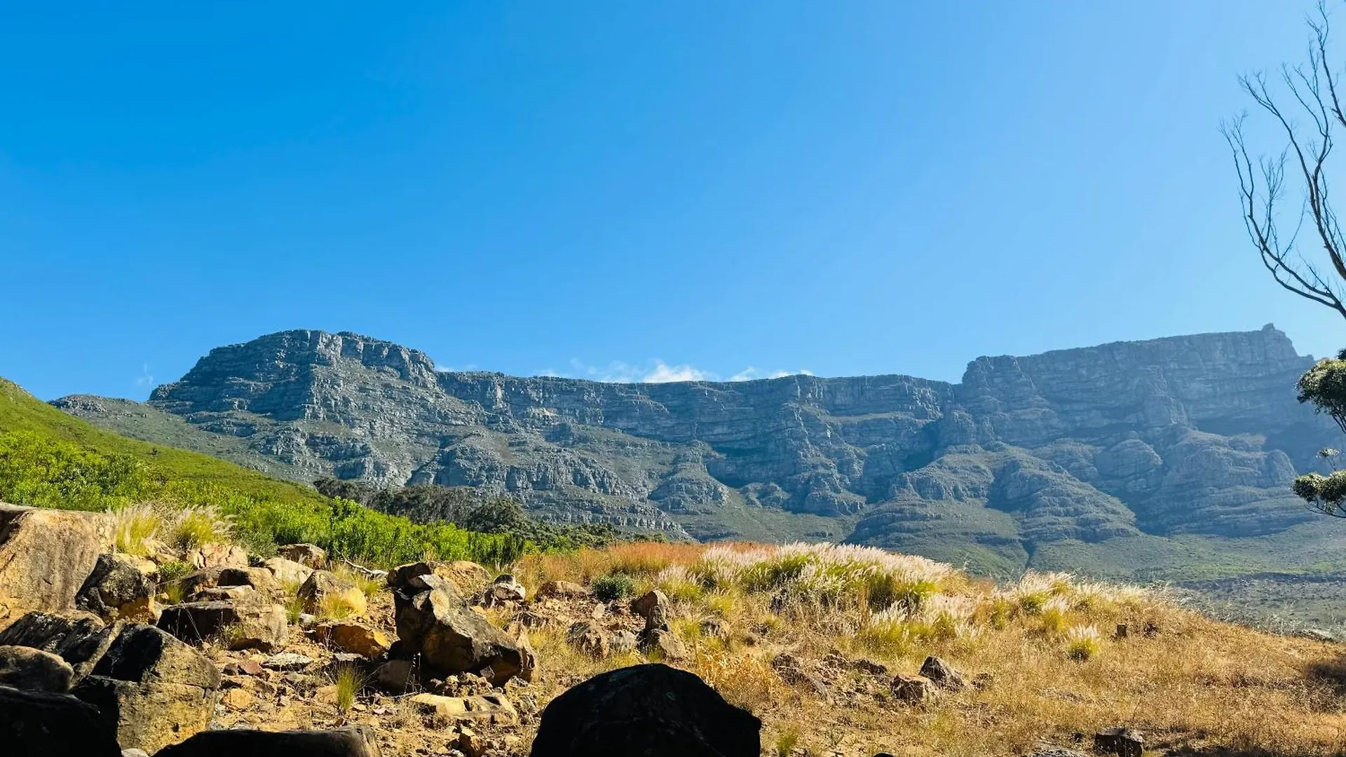 The Scenic Disa Park Apartment, Table Mountain, City & Ocean Views Cape Town 0*,  South Africa