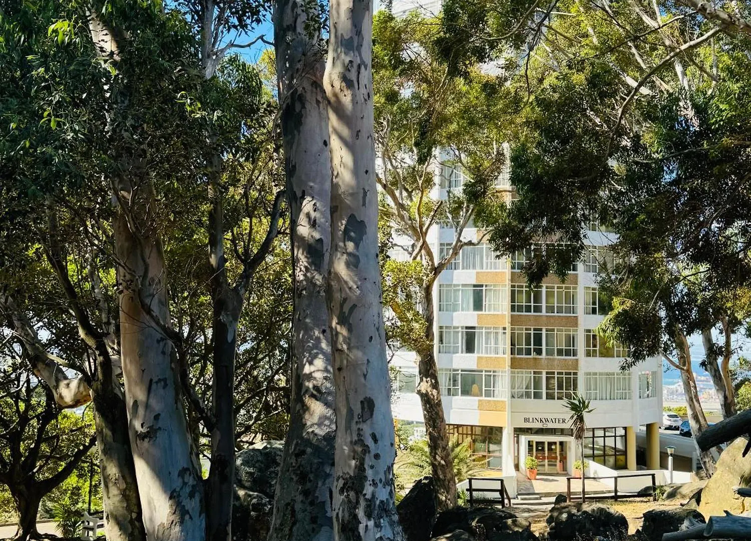 The Scenic Disa Park Apartment, Table Mountain, City & Ocean Views Città del Capo
